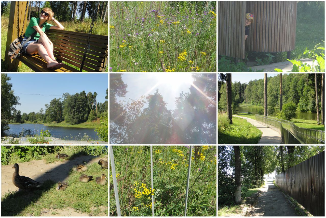 Гуляем по Кохме