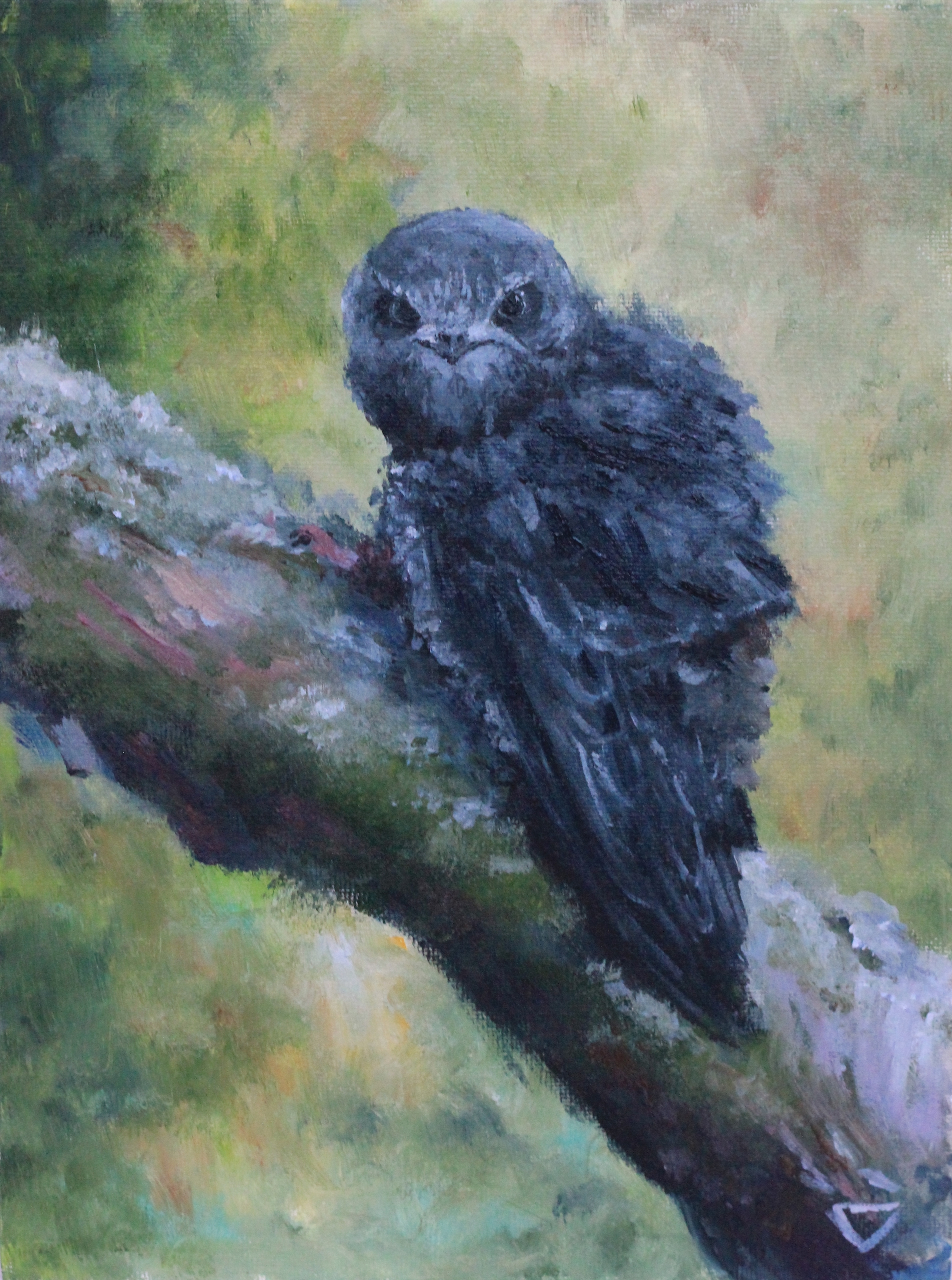 Как появился "Стриж"